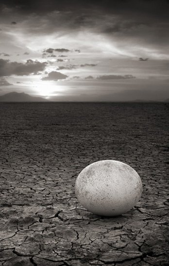 Nick Brandt/AbandonedOstrichEgg