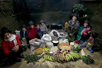 The Ayme family of Tingo