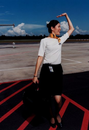 Brian Finke Flight Attendants