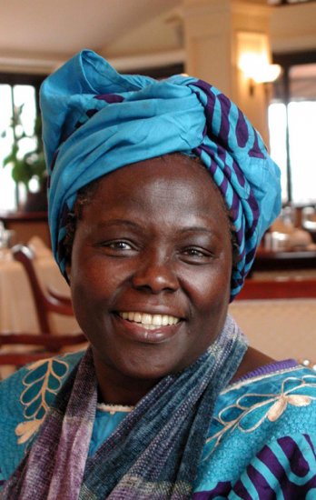 nobel peace prize laureate wangari maathai